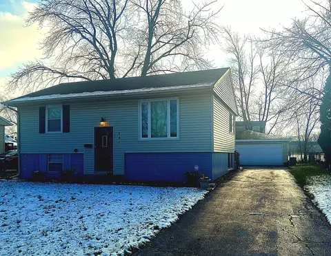 246 E Rose St, Glenwood, IL 60425