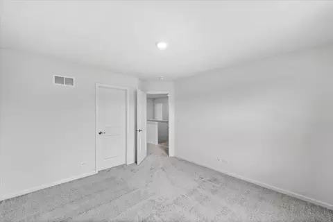 91 Sweetflag Cir, Elgin, IL 60124 photo 24