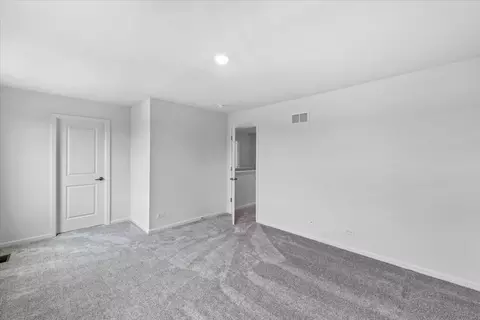 91 Sweetflag Cir, Elgin, IL 60124 photo 21