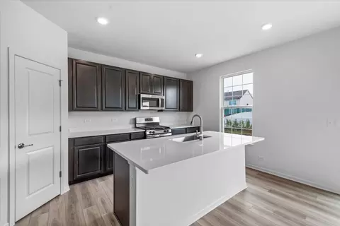 91 Sweetflag Cir, Elgin, IL 60124 photo 19