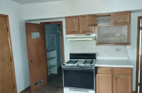 358 E 134th St, Chicago, IL 60827 photo 10