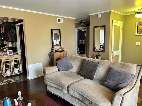 16241 Honore Ave, Markham, IL 60428 photo 5