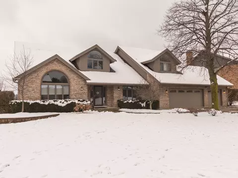 13343 W Onondaga Trl, Homer Glen, IL 60491