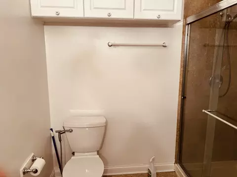 930 E 48th St, Chicago, IL 60615 photo 9