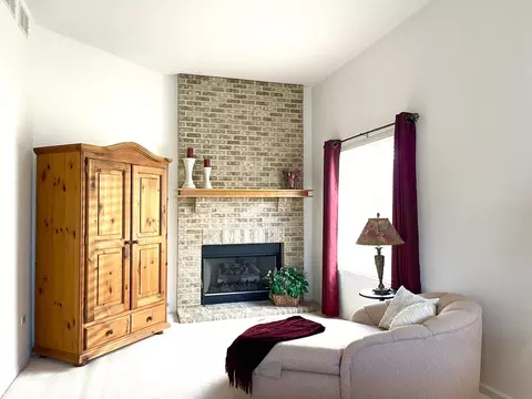 21544 W Larch Dr, Plainfield, IL 60544 photo 16
