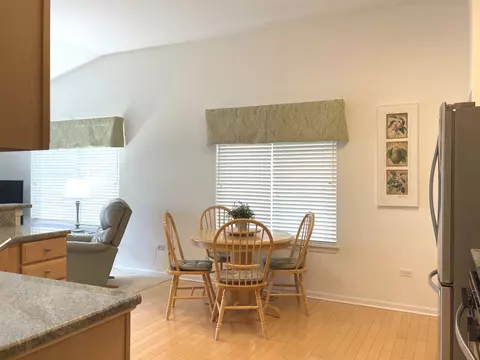 21544 W Larch Dr, Plainfield, IL 60544 photo 11