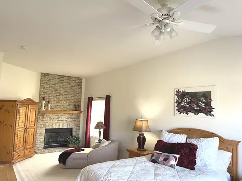 21544 W Larch Dr, Plainfield, IL 60544 photo 15