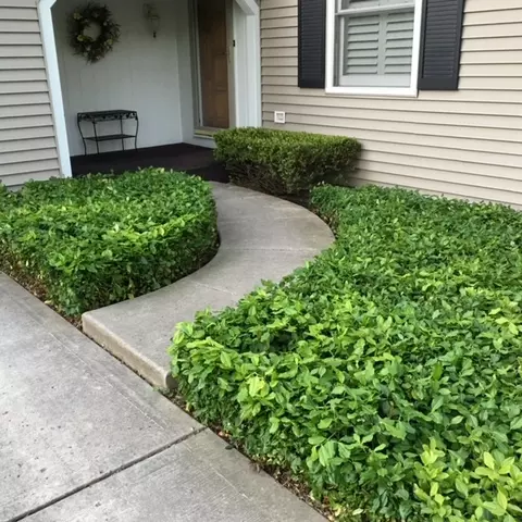 509 E 12th Ave, Naperville, IL 60563 photo 34