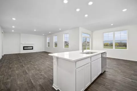 3629 Ancient Oak Dr, Elgin, IL 60124 photo 9