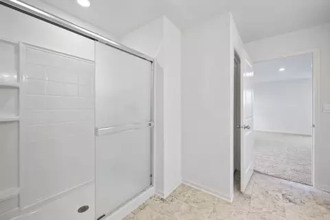 3629 Ancient Oak Dr, Elgin, IL 60124 photo 19