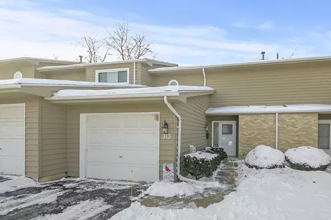 313 Arbor Hill Ct #313, New Lenox, IL 60451