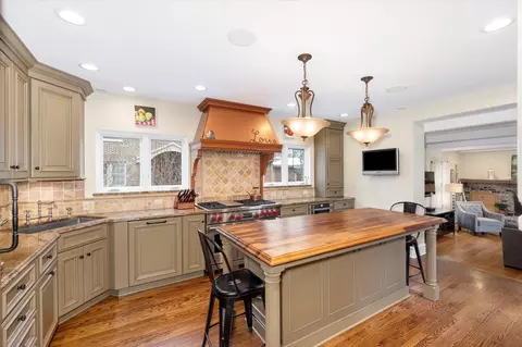 511 Jackson Ave, River Forest, IL 60305 photo 10