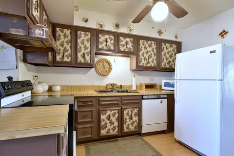 1296 E Washington St #7, Des Plaines, IL 60016 photo 4