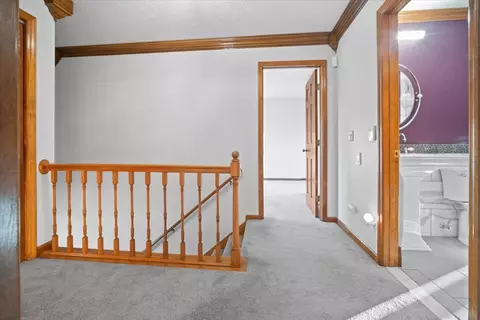 219 Reaba Ave, Congerville, IL 61729 photo 36