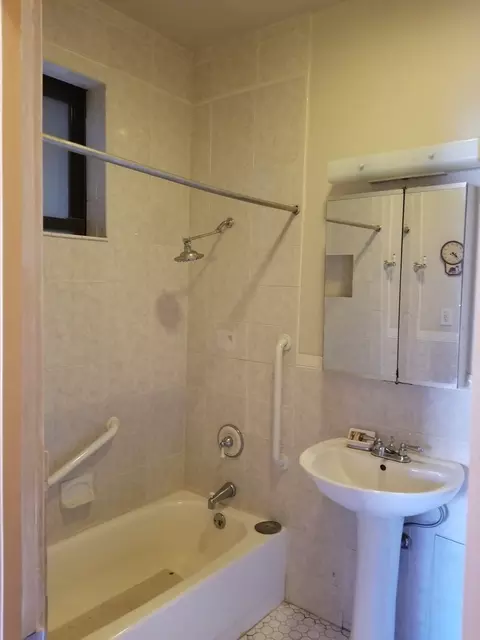 Bath - 1375 E 54th St #1, Chicago, IL 60615 photo 2 of 2