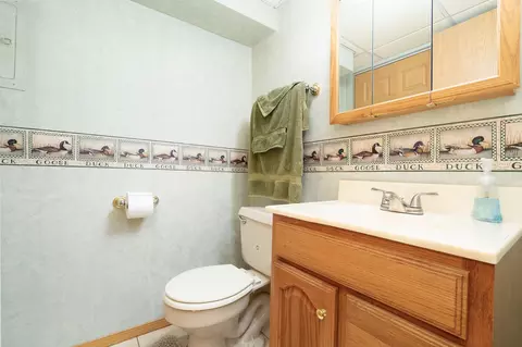 7605 Lorel Ave, Burbank, IL 60459 photo 14