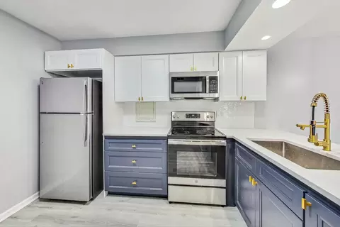 4704 Euclid Ave #2A, Rolling Meadows, IL 60008 photo 10