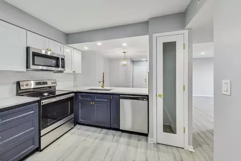 4704 Euclid Ave #2A, Rolling Meadows, IL 60008 photo 9