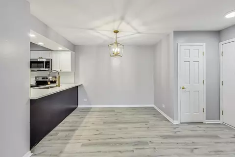 4704 Euclid Ave #2A, Rolling Meadows, IL 60008 photo 8