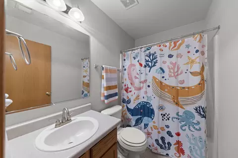 24096 Pear Tree Cir #0, Plainfield, IL 60585 photo 17
