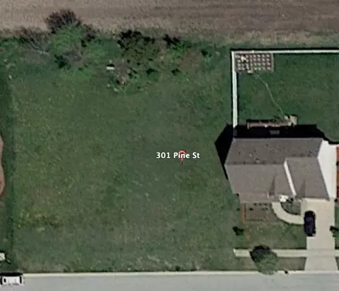 301 Pine St, Beecher, IL 60401 photo 2