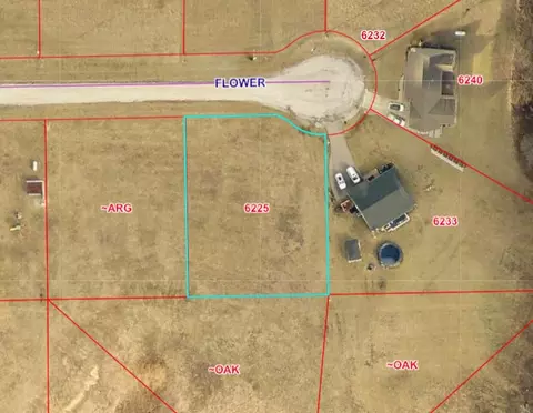 6225 E Flower Ct, Argenta, IL 62501