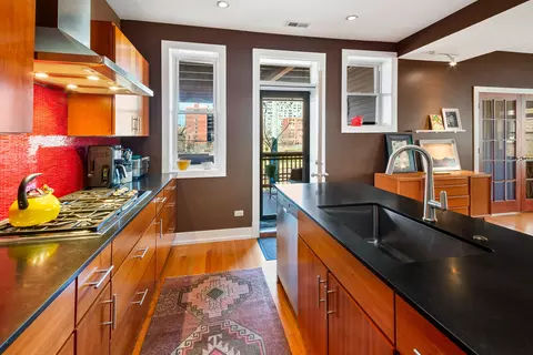 750 W Bittersweet Pl, Chicago, IL 60613 photo 3