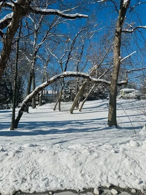 Lot 10/11 Windsor Avenue, Spring Grove, IL 60081
