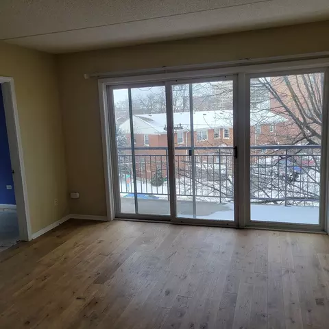 1477 E Thacker St #302, Des Plaines, IL 60016 photo 4