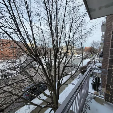 1477 E Thacker St #302, Des Plaines, IL 60016 photo 28
