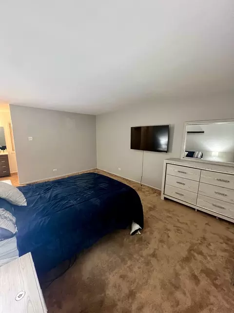 38 Deerpath Rd, Matteson, IL 60443 photo 3