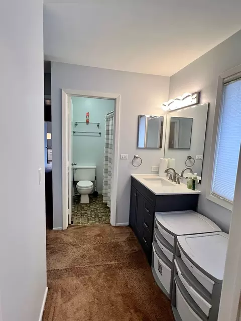 38 Deerpath Rd, Matteson, IL 60443 photo 29