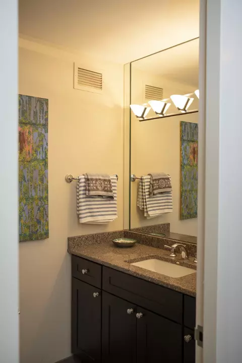 200 E Delaware Pl #4F, Chicago, IL 60611 photo 10