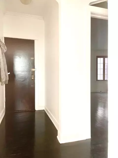 817 E 53rd St #2N, Chicago, IL 60615 photo 3