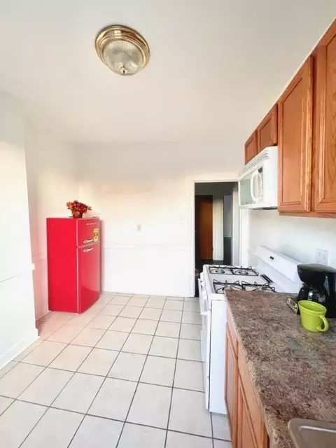 817 E 53rd St #2N, Chicago, IL 60615 photo 9