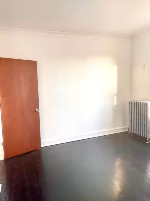 817 E 53rd St #2N, Chicago, IL 60615 photo 17