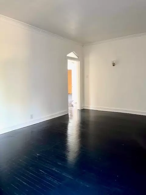 817 E 53rd St #2N, Chicago, IL 60615 photo 6
