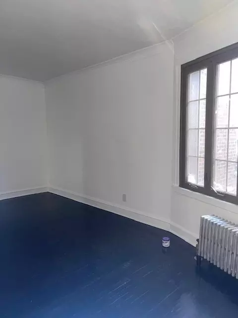 817 E 53rd St #2N, Chicago, IL 60615 photo 5
