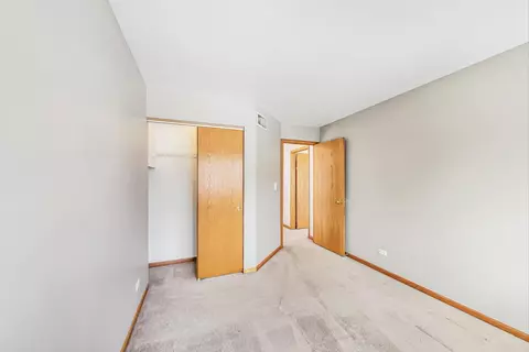 1313 Geneva Ln, Bartlett, IL 60103 photo 20