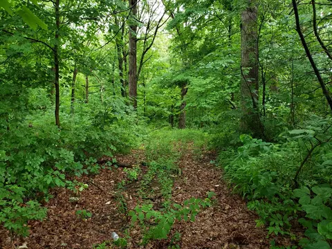 5705 W Pauling Rd, Monee, IL 60449