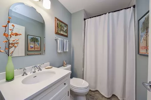 255 E Liberty Dr #704-2, Wheaton, IL 60187 photo 16