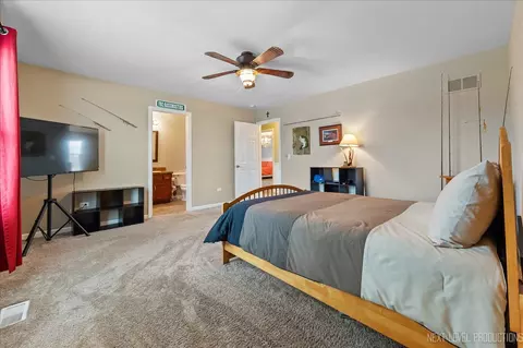 Bedroom - 14211 Chalk Hill Rd, Plainfield, IL 60544 photo 3 of 7