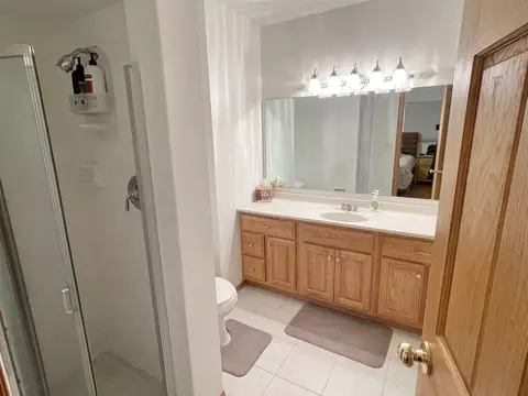 913 E Locust St, Ladd, IL 61329 photo 17