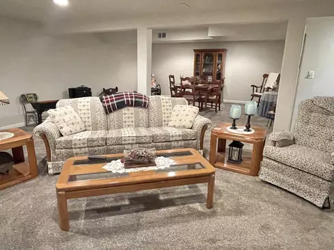 913 E Locust St, Ladd, IL 61329 photo 22