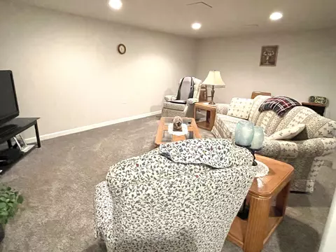 913 E Locust St, Ladd, IL 61329 photo 21