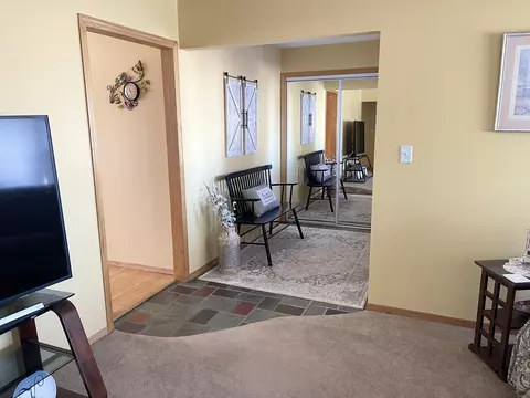 913 E Locust St, Ladd, IL 61329 photo 6