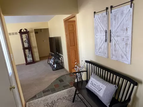 913 E Locust St, Ladd, IL 61329 photo 8