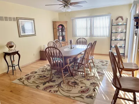 913 E Locust St, Ladd, IL 61329 photo 9