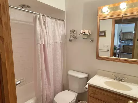 913 E Locust St, Ladd, IL 61329 photo 18