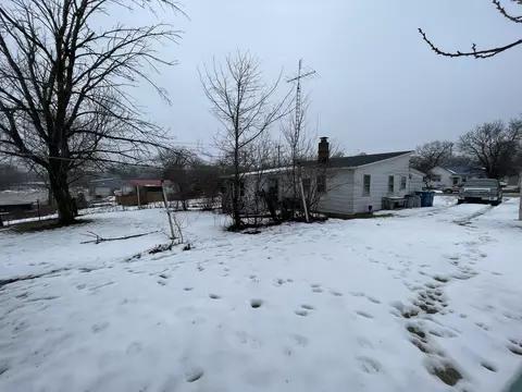 207 E Caroline St, Spring Valley, IL 61362 photo 16